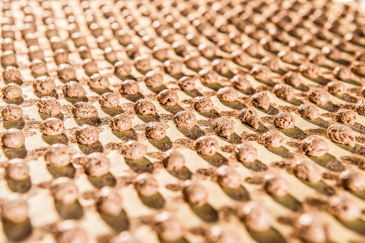 Nocciolini di Chivasso - Chivassini 90g